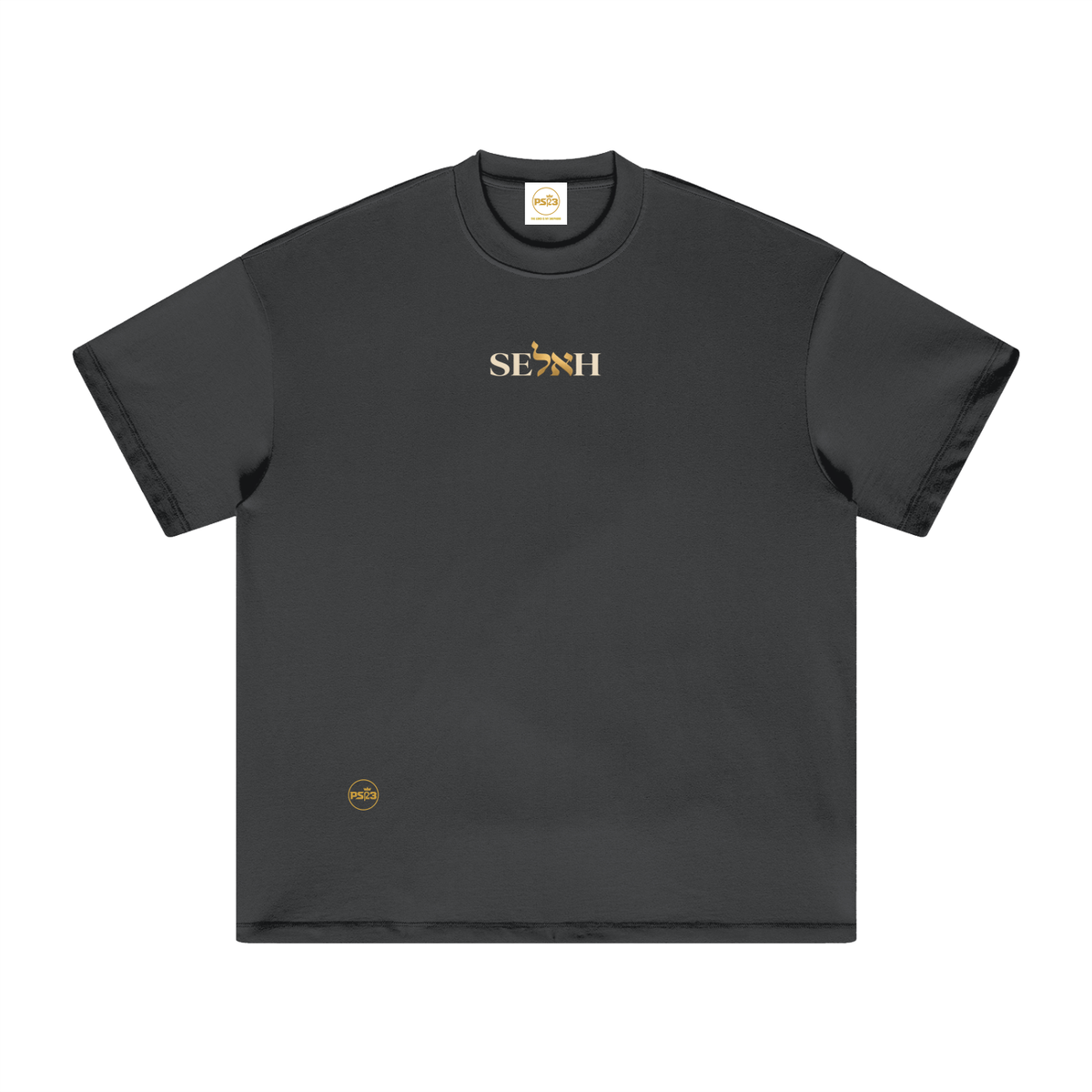 PS23 Bilingual Concept Selah Oversized Heavyweight T Shirt