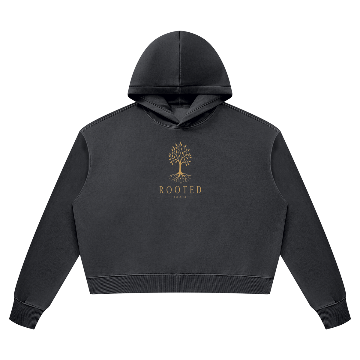 PS23 Rooted Psalm 1:3 Women’s Vintage Wash Heavyweight Hoodie