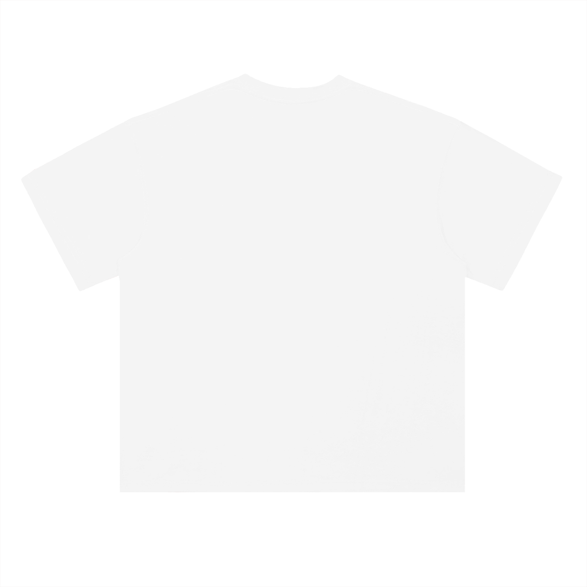 PS23 Forgiven Heavyweight Drop Shoulder Cotton T-Shirt