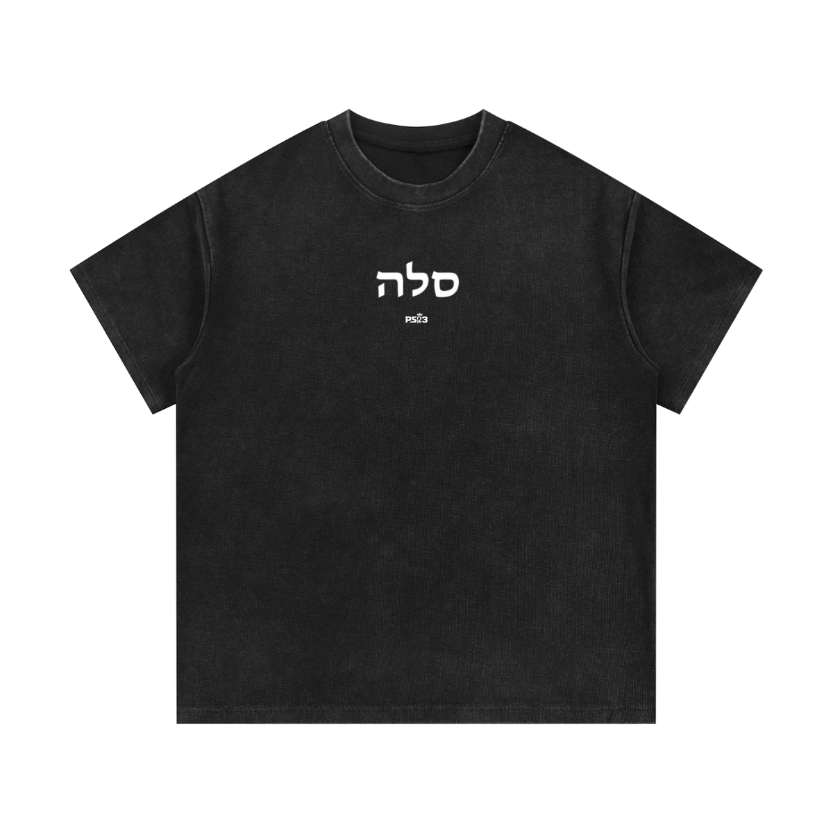 PS23 Hebrew Selah Mineral Wash Waffle Knit T-Shirt