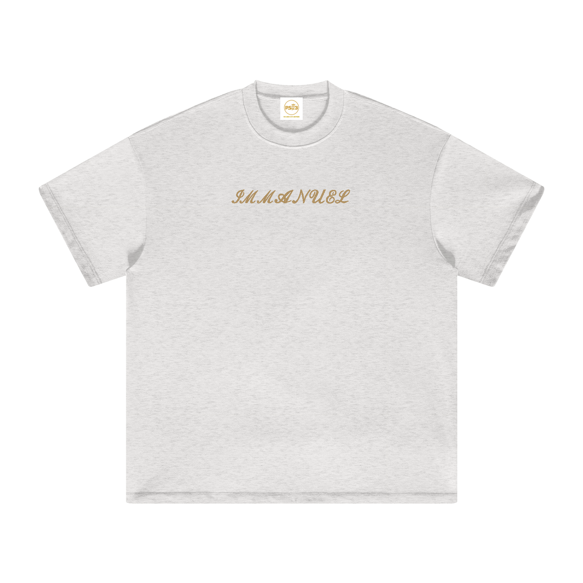 PS23 Embroidery Immanuel Heavyweight Earth Tone T-Shirt