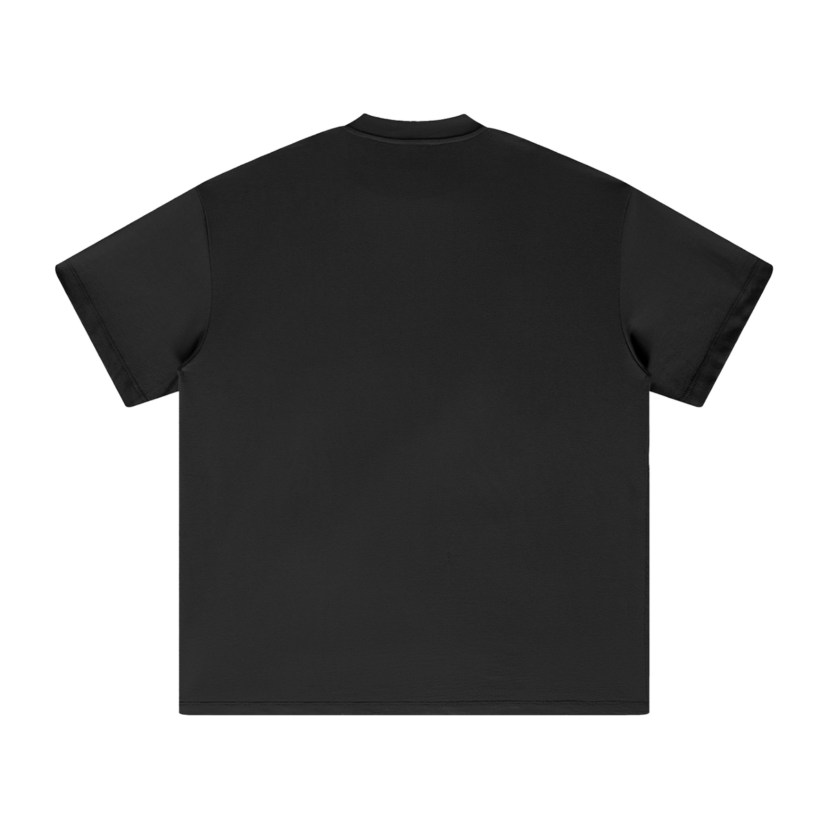 PS23 Embroidery Brokenstored Heavyweight Earth Tone T-Shirt