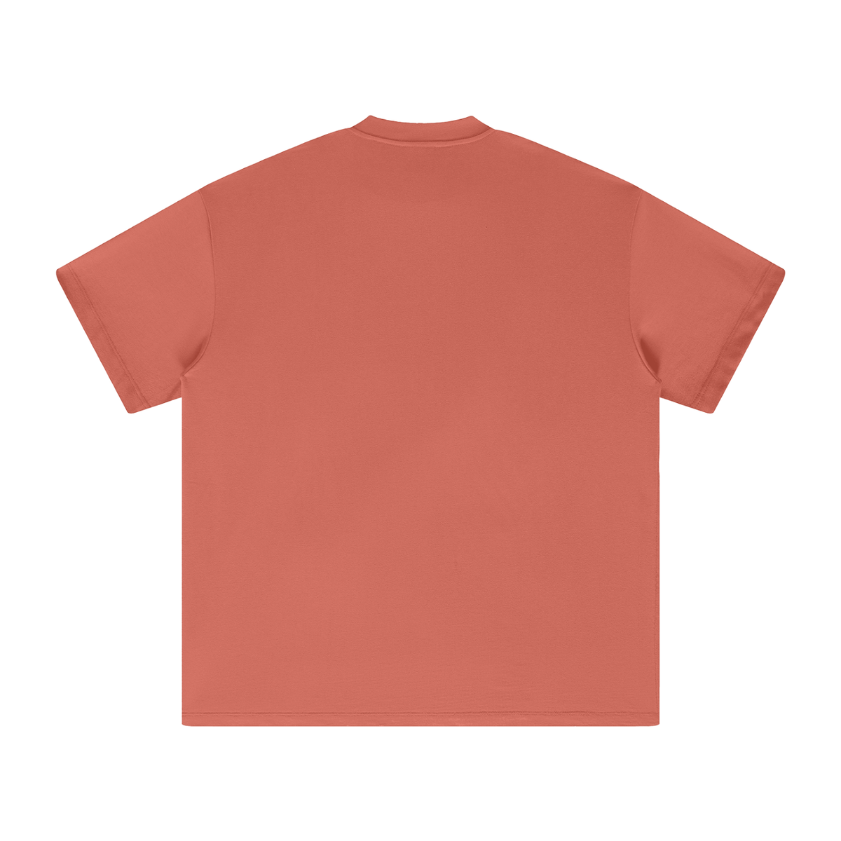 PS23 Embroidery Immanuel Heavyweight Earth Tone T-Shirt