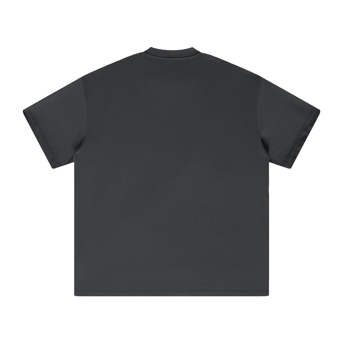 PS23 Bilingual Concept Abide Heavyweight Earth Tone T-Shirt