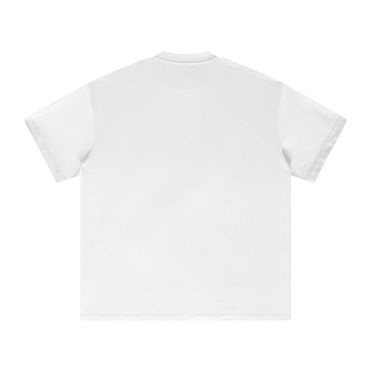PS23 Bilingual Concept Abide Heavyweight Earth Tone T-Shirt