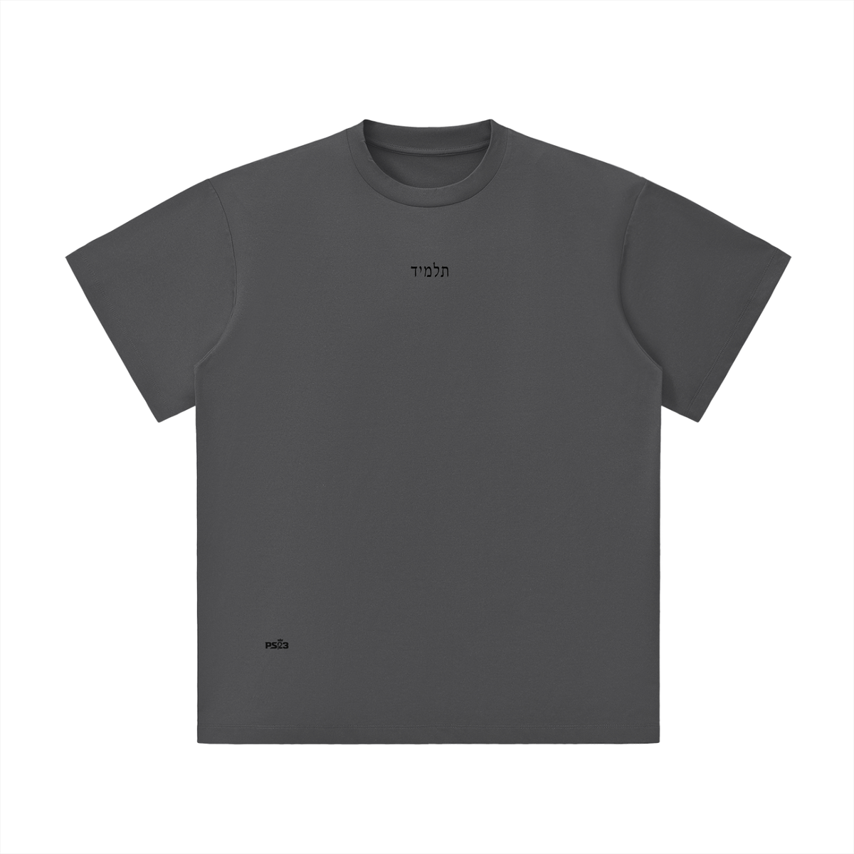 PS23 Hebrew Disciple Unisex Lightweight Oversized T-Shirt