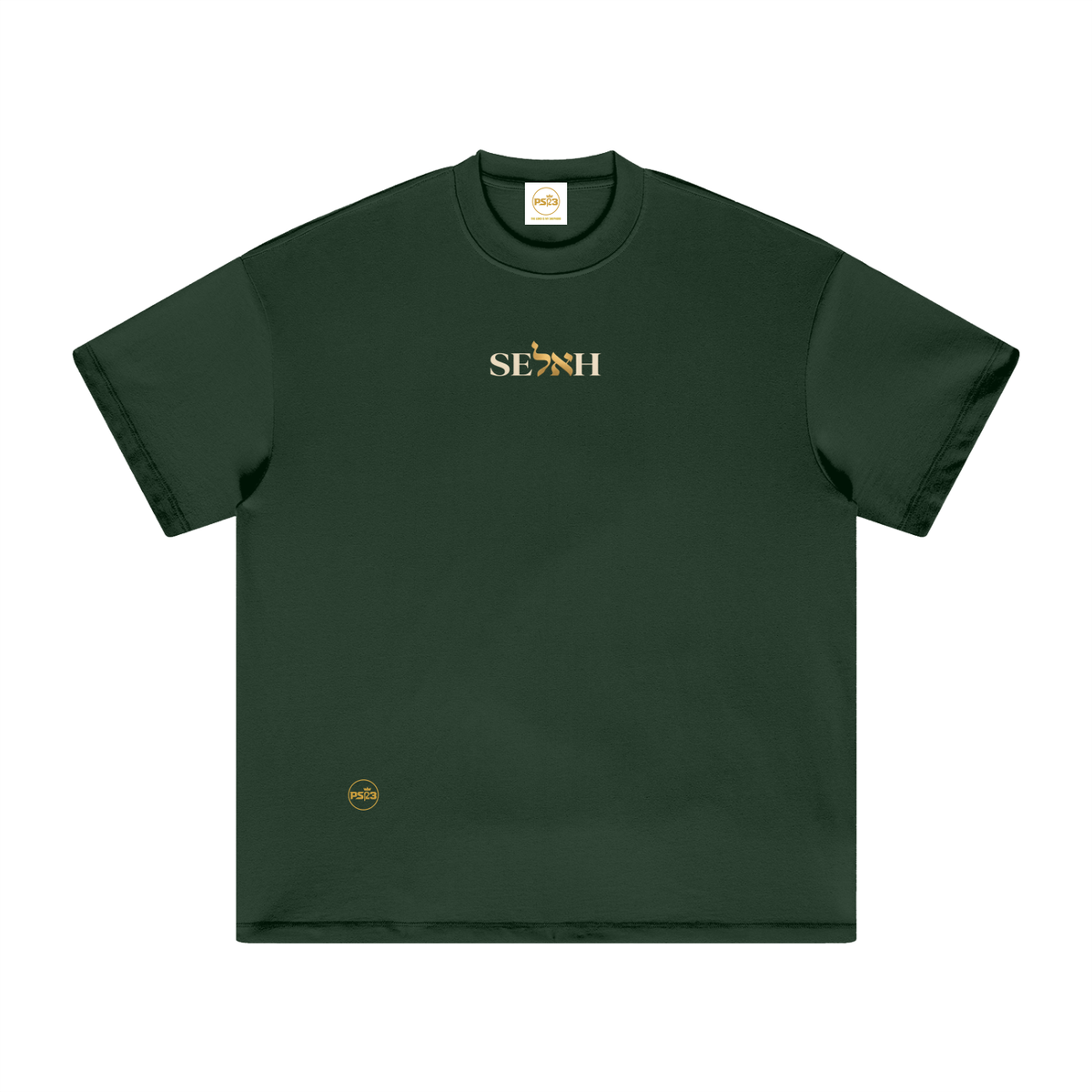 PS23 Bilingual Concept Selah Oversized Heavyweight T Shirt