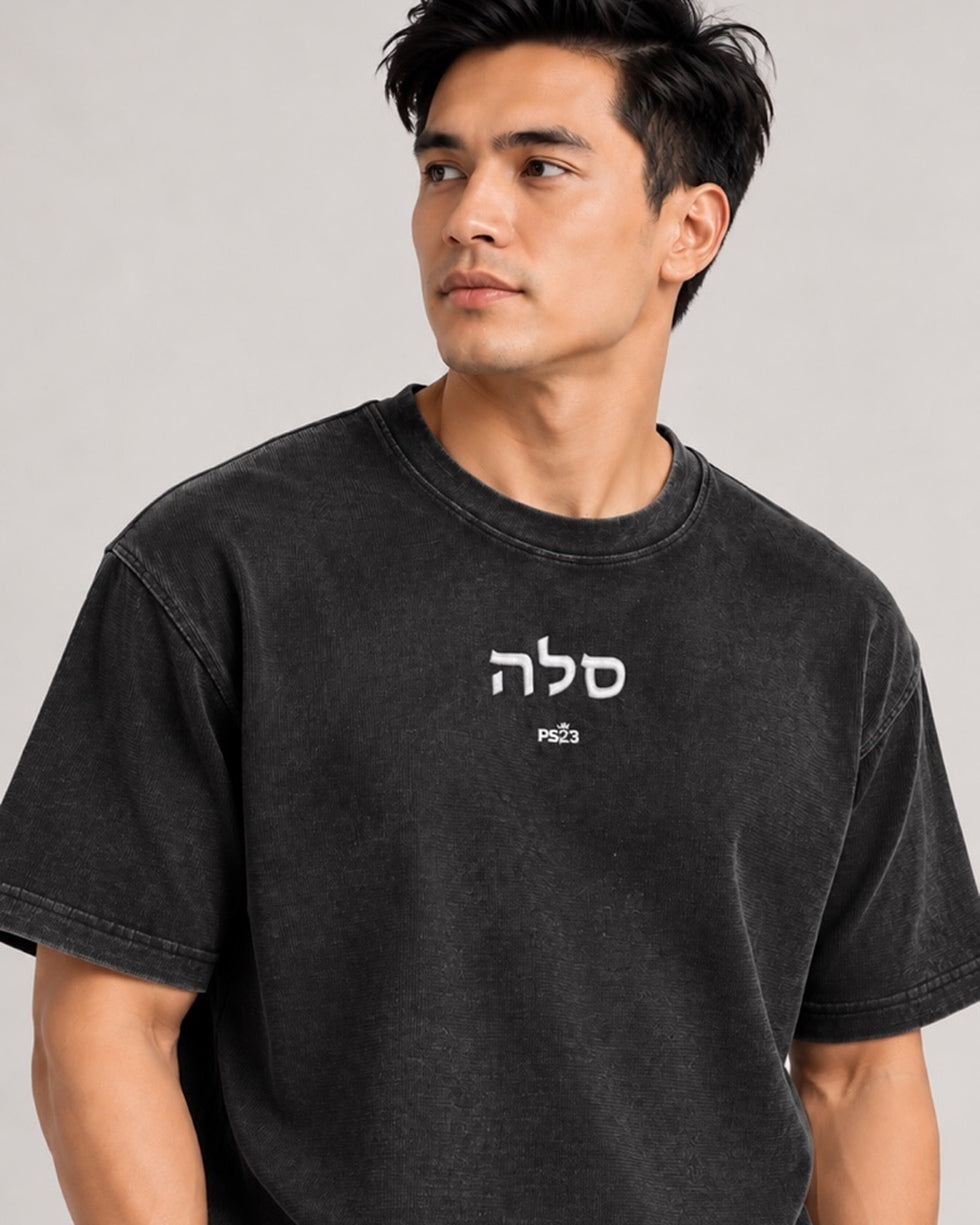 PS23 Hebrew Selah Mineral Wash Waffle Knit T-Shirt