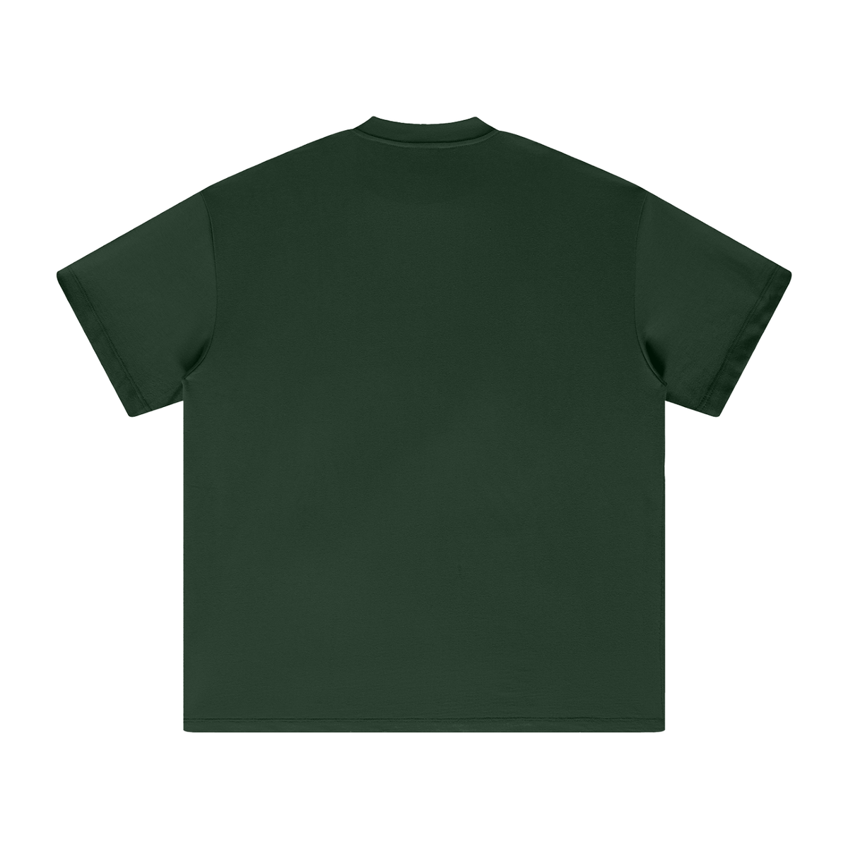 PS23 Embroidery Immanuel Heavyweight Earth Tone T-Shirt