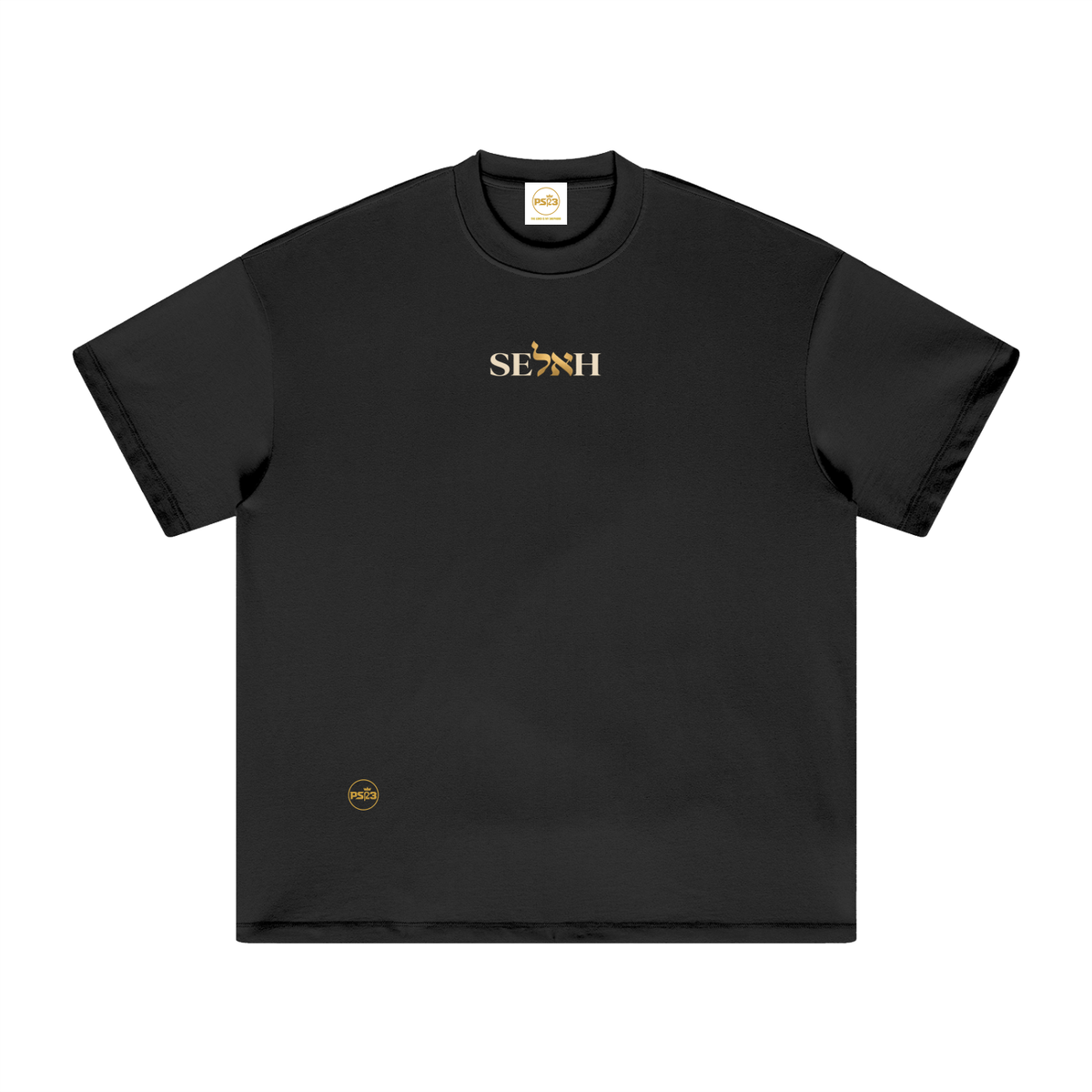 PS23 Bilingual Concept Selah Oversized Heavyweight T Shirt