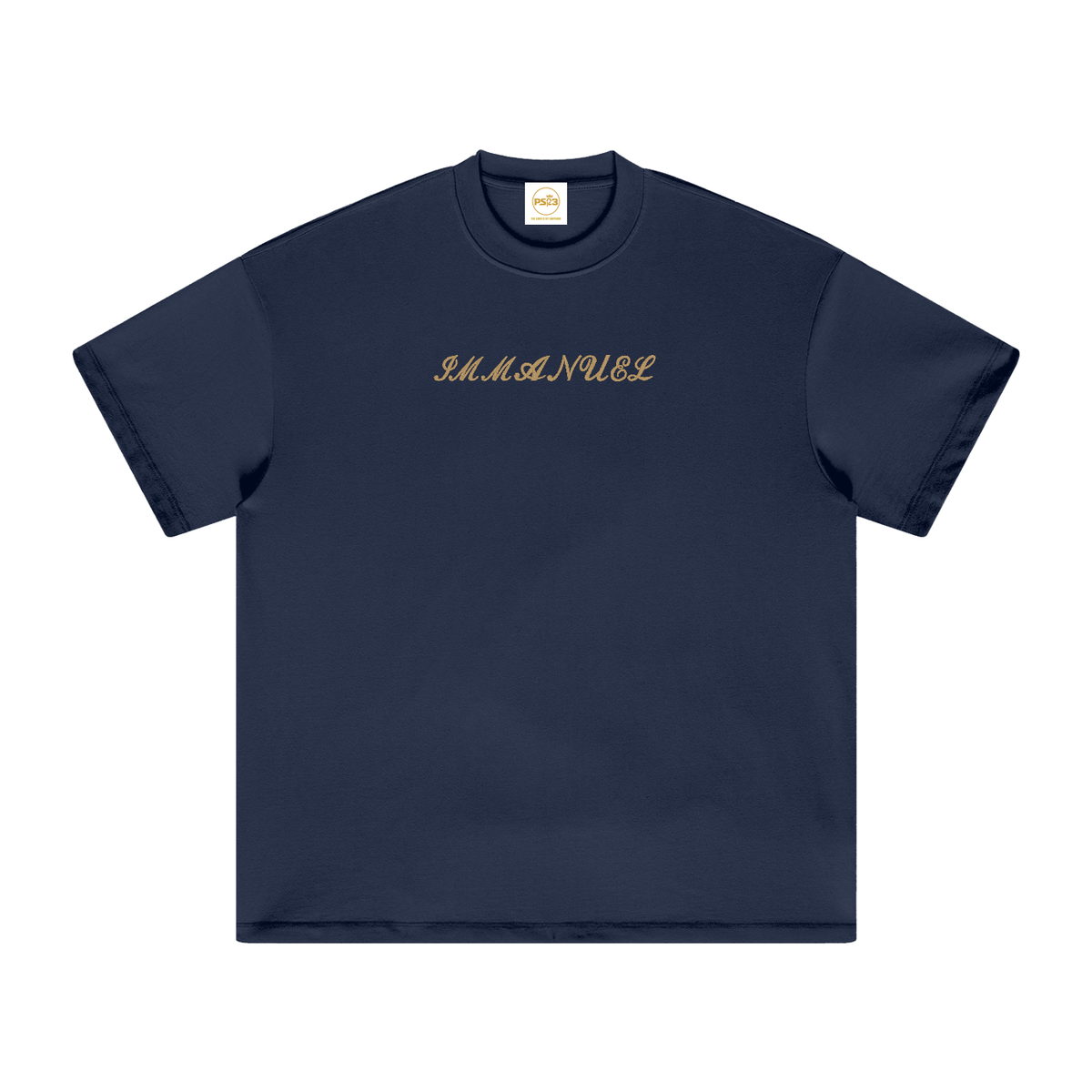 PS23 Embroidery Immanuel Heavyweight Earth Tone T-Shirt