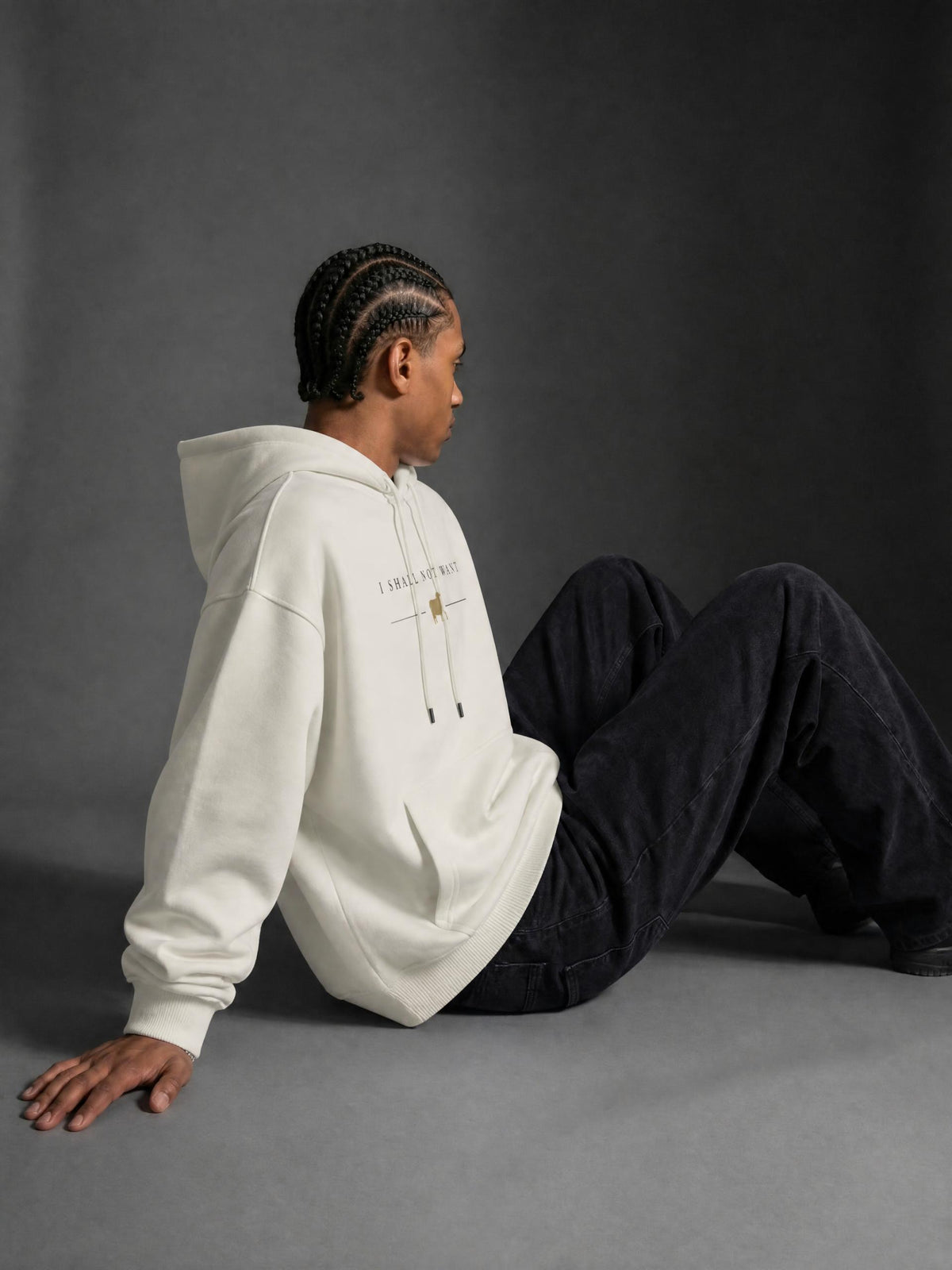 PS23 I shall not want Streetwear Unisex Fleece Hoodie